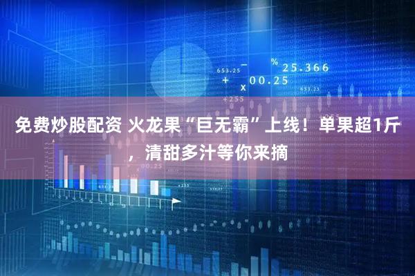 免费炒股配资 火龙果“巨无霸”上线！单果超1斤，清甜多汁等你来摘
