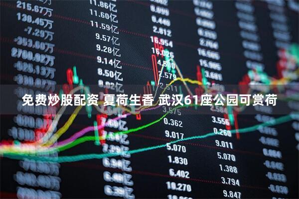 免费炒股配资 夏荷生香 武汉61座公园可赏荷