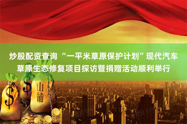 炒股配资查询 “一平米草原保护计划”现代汽车草原生态修复项目探访暨捐赠活动顺利举行